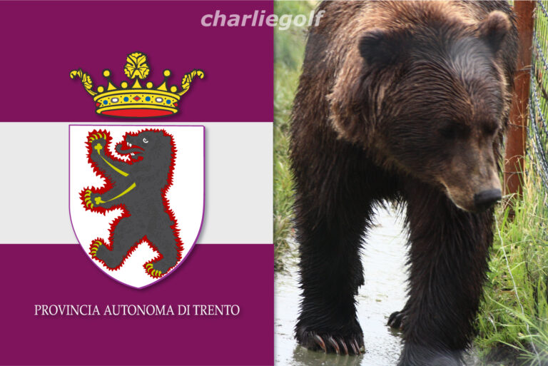 In soccorso all’orso del Trentino