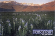 2000_08_29_bridge_valley